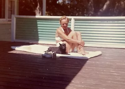 Vintage 1950s Photo Pretty Woman Bikini Sunning On Deck With Little Black Dog • $3.95