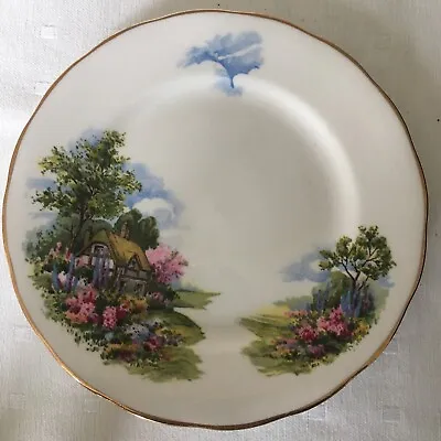 Vintage Royal Vale Bone China Country Cottage  Round Side Plate. 16cm • £3.49