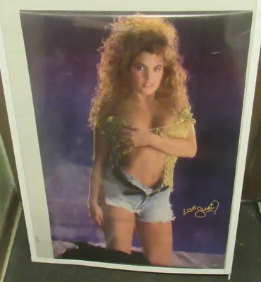 Sandi Korn Poster Vintage  Playboy Super Model Hot  Rare Oops Early 90s • $13.99