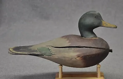 AGED EAST COAST STYLE MALLARD DRAKE Duck Decoy Decoys Original Paint WMW • $54.99