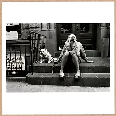 SIGNED ELLIOTT ERWITT DOGS STOOP NEW YORK 2000 LTD 6  X 6  MAGNUM PRINT • $950