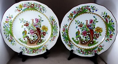 Pair Of Spode 1907 Oriental Pheasant 8.8  Plates Retailed By Waring & Gillow • £14.99