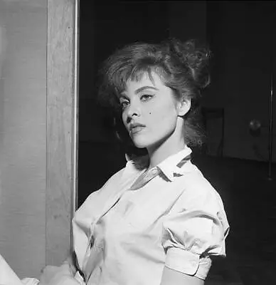 Tina Louise Poses In New York City 1957 Old Photo 2 • $9