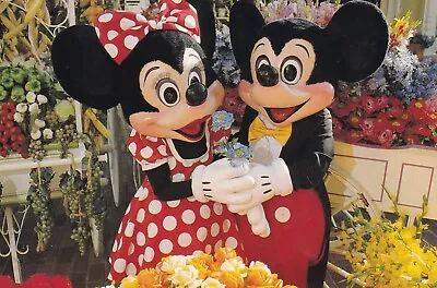 Mickey/minnie Mouse Post Card New • $7.50