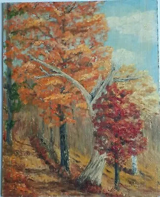 VINTAGE Original 1958 Vermont Oil PAINTING  Old Chestnut Tree  Signed 17  X 21  • $72