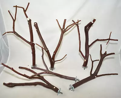 Manzanita Bird Perches Set Of SIX W/ Hardware  Multibranch  * Great Set * • $29.99