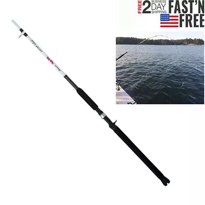 8ft Catfish Spinning Rod Two Piece Catfish Rod Stainless Steel Fishing Rods US • $35.95