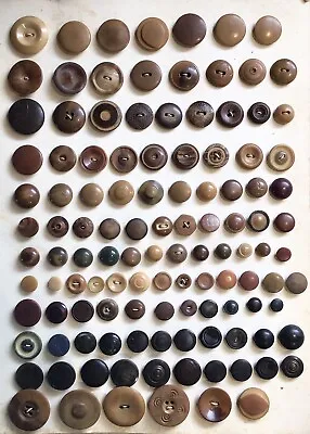 Beautiful Card Of 117 Antique Vegetable Ivory Tagua Nut Buttons • $48