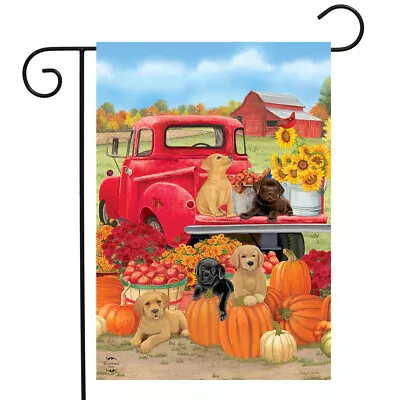 Fall Puppies Garden Flag Red Pickup Dogs Labs 12.5  X 18  Briarwood Lane • $9.86