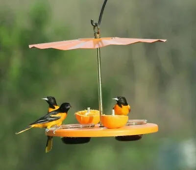 Kettle Moraine Recycled Super Oriole Bird Feeder Fruit Jelly Mealworms Oranges • $62