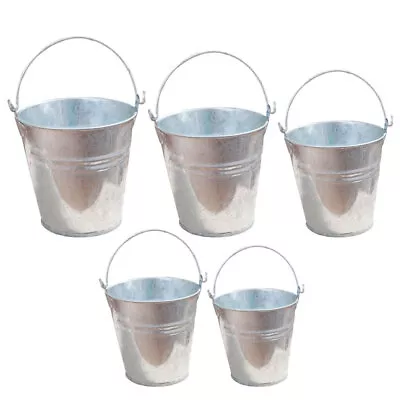  5 Pcs Galvanized Iron Tin Bucket Child Household Mini Buckets • $15.38