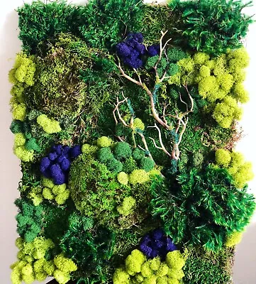 Moss Wall Art 11 X 14  3 Options • $150