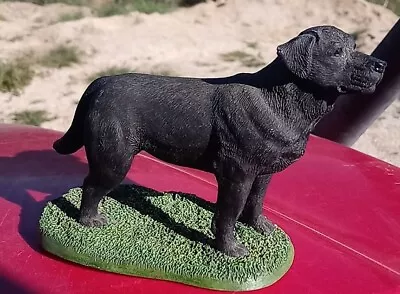 Living Stone Vintage Black Labrador Retriever On Grass Pedestal No Flaws USA • $13.50