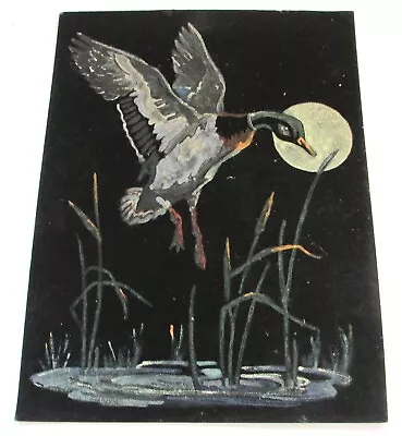 Vintage Duck Mallard Moon Landing PUssy Willow Black Velvet 12  X 9   • $25