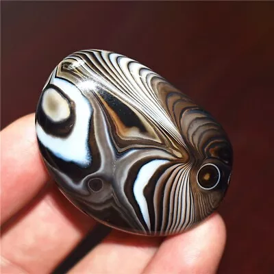 38g Natural Banded Agate Tumbled Palm Stone Crazy Lace Silk Healing Madagascar • $8.50