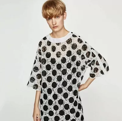 Zara Lace NWT Black/White Polka Dot Lace Dress/Tunic L • $29.99