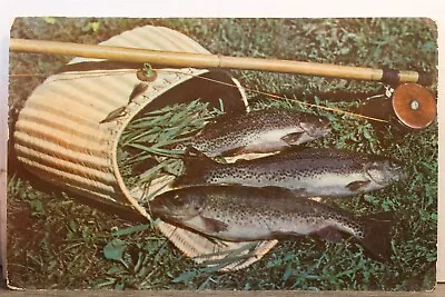 Michigan MI Northern Game Fish Postcard Old Vintage Card View Standard Souvenir • $0.50