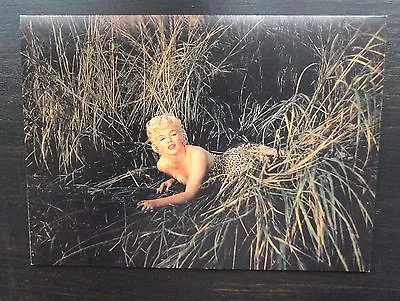 Vintage 1990 Marilyn Monroe Color Misfits Grasses Blank Greeting Card W Envelope • $2.99