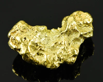 $3578.49 • Buy #551 Large Alaskan BC Gold Nugget 36.02 Grams Genuine