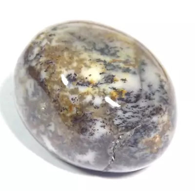 MERLINITE TUMBLESTONE 2.7 X 2.2 Cm 17.88 Gms  Wizard Stone  Dendritic Agate #A • $7.41