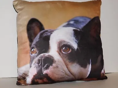 $21.36 • Buy French Bulldog Pillow Frenchie Dog Real Photo 16 X 16 Inch