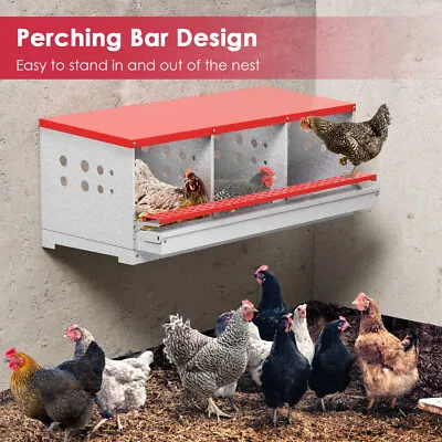 3 Hole Chicken Nesting Boxes Metal Chicken Egg Laying Nest Box With Perch US • $95.21