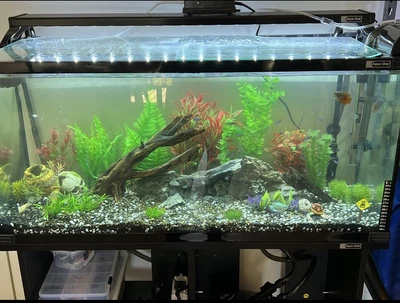 $400 • Buy Aqua One 130 Liter Fish Tank Kit With Stand