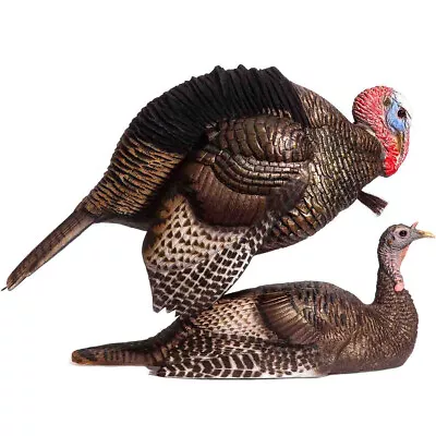 Dave Smith Decoys Mating Motion Pair • $389.99