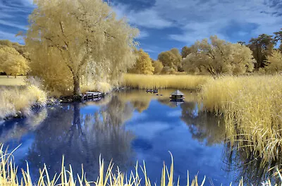 £235 • Buy Nikon D90 Infrared Converted 590nm Goldie IR Infrared Camera.Super Colour