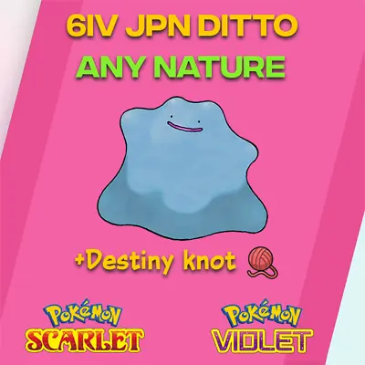 £1.93 • Buy ✨ JPN Shiny Japanese Ditto 6IV ✨ W/ Destiny Knot | Pokemon Scarlet & Violet