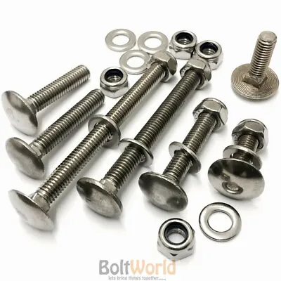 M8 A2 Stainless Steel Cup Square Carriage Bolts Coach Screws Washers Nyloc Nuts • £246.52