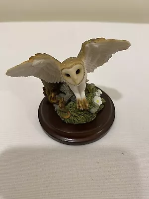 Country Artists Barn Owl Figurine 01205 • £10