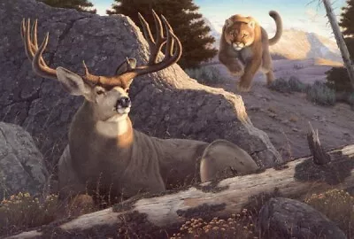 Ambush By Tom Mansanarez Mule Deer Mountain Lion Print 7x5 • $9.98