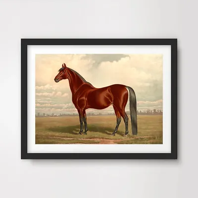 HORSE EQUESTRIAN COLOUR PAINTING ART PRINT Poster Riding Decor Wall Old Picture • £14.99