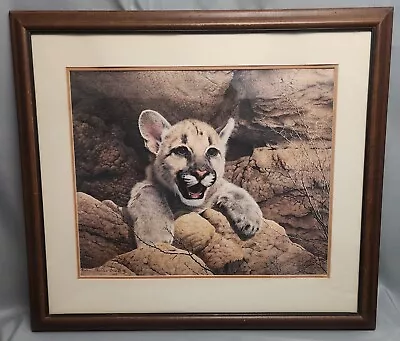 Vintage COUGAR CUB Lithograph Matted And Signed Print 1977 Charles Frace • $89