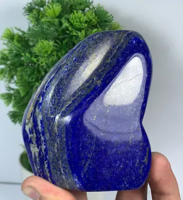 587Gram Lapis Lazuli Freeform Rough AAA+ Tumbled Rough Polished From Afghanistan • $79.99