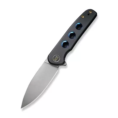 WE Knife WE20052B-1 Shakan Knife Titanium With Holes Handle 2.97'' • $374.95