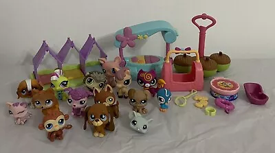 Littlest Pet Shop Bundle 15 Pets Plus Accessories Hasbro • £29.99