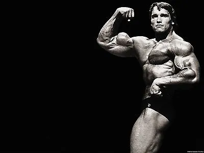 0309 Arnold Schwarzenegger Bodybuilder Mr Olympia Universe A4 A3 POSTER PRINT • £4.29