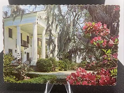 Postcard - Boone Hall Plantation - Mount Pleasant South Carolina B4 • $4