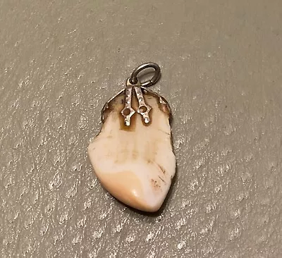 Vintage Elk Tooth Pendant Charm • $49.99