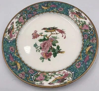 W H Grindley Co England Bird Of Paradise Bird On Branch Saucer 6” Gold Rim • $8.99