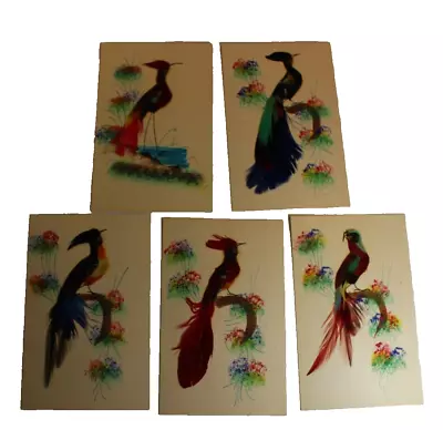 Vintage Lot Of 5 Bird Postcard Hand Painted W/ Applied Real Feathers Mexico • $9.99