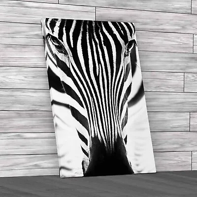 Zebra Face On Original Canvas Print Large Picture Wall Art • £14.95