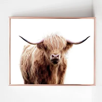 Highland Cow Print PICTURE  WALL ART A4  Unframed 22 Colour Animal Portrait • £3.99