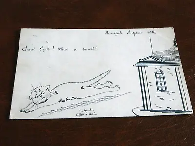Original  Louis Wain Style Ink Drawn Cat Postcard Harrogate Sulphur Well. • £6.99