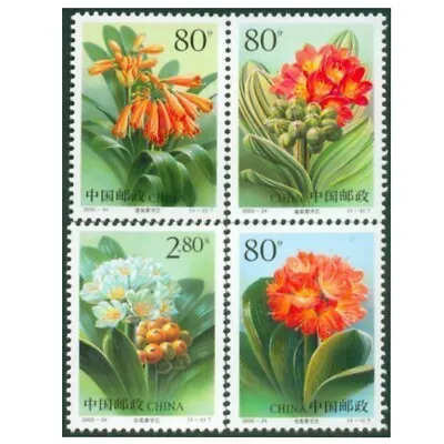 China 2000-24 Stamp China Clivia Stamps Kaffir Lily Stamps Orchid Stamps 4PCS • £1.44