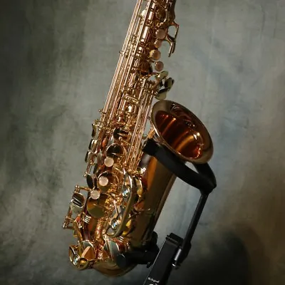 Yanagisawa AWO2 A-WO2 Bronze Alto Saxophone Genuine Brand New • $3199.99