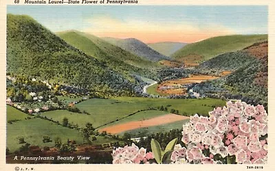 Postcard PA Mountain Laurel Pennsylvania State Flower Linen Vintage PC G2542 • $5