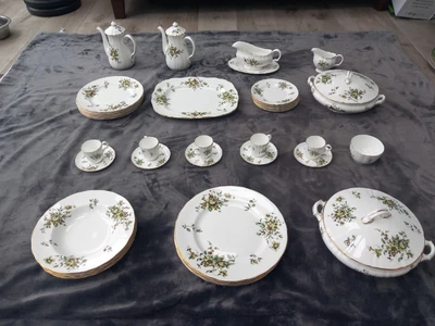 £20 • Buy Royal Worcester Bone China Clementine Dinner Set